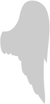 Wing  vector