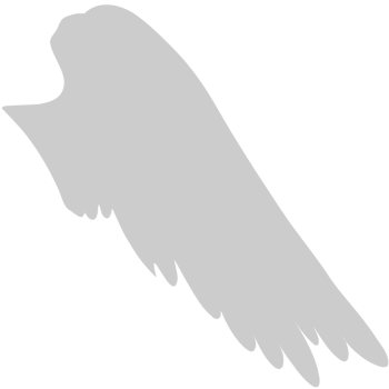 Wing  vector