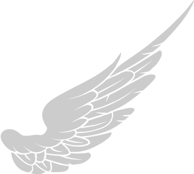 Wing  vector