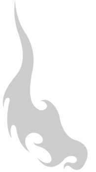 Wing  vector