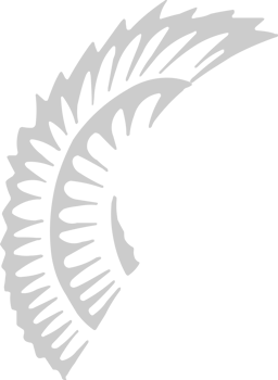 Wing vector