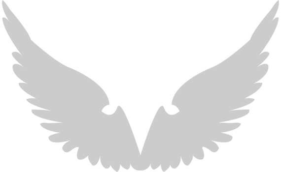 Wing  vector