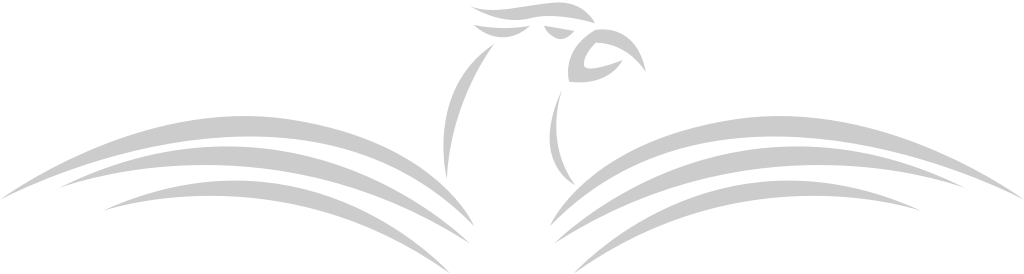 Wing hawk logo vector