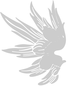 Wing bird vector