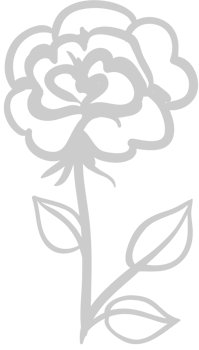 Sketchy Rose vector