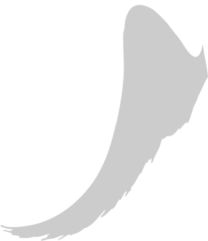Wings vector