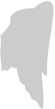 Wings vector