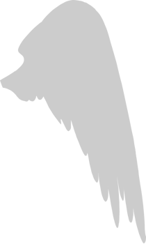 Wings vector
