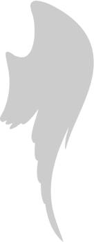 Wings vector