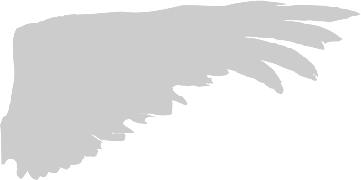 Wings vector