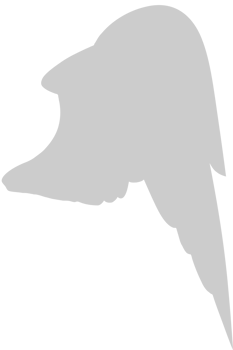 Wings vector