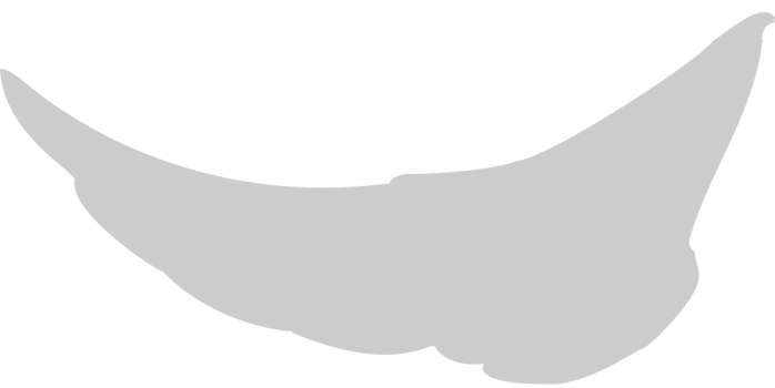 Wings vector