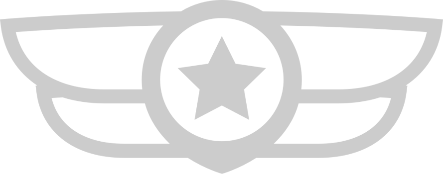 Wings military badge vector
