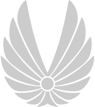 Wings logo vector