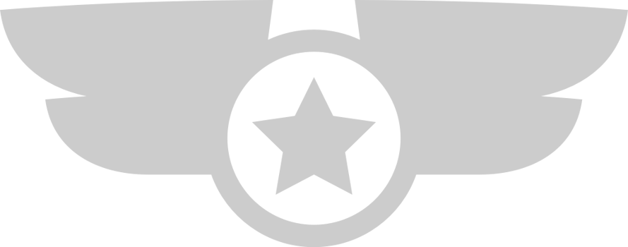 Wings military badge vector