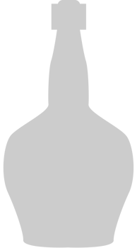 Bottle vector