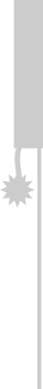 Firework vector