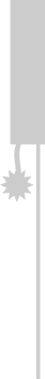 Firework vector