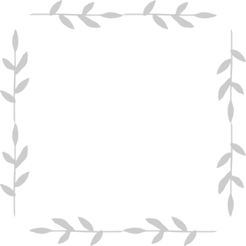 Frame vector