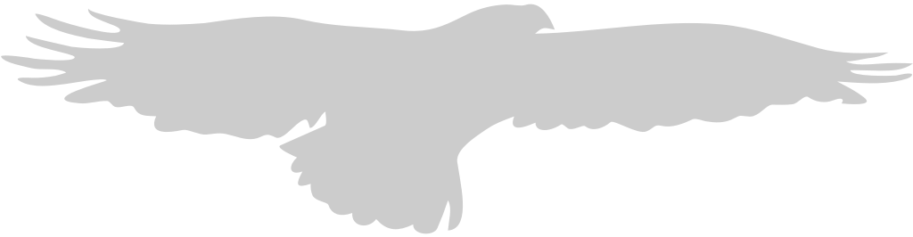 Eagle vector