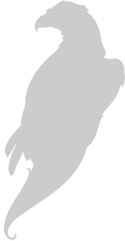 eagle vector