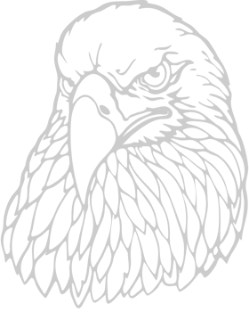 eagle head vector