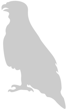 eagle vector