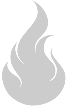 Fire Icon vector