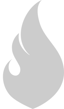 Fire Icon vector