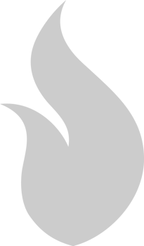 Fire Icon vector