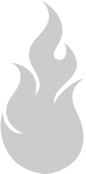 Fire Icon vector