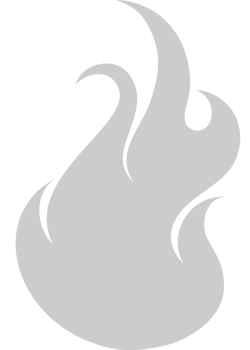 Fire Icon vector