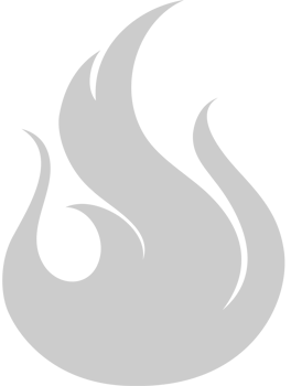 Fire Icon vector