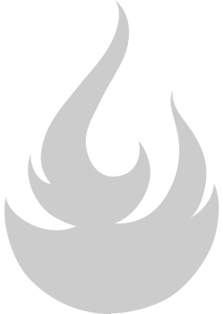 Fire Icon vector