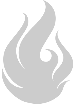 Fire Icon vector