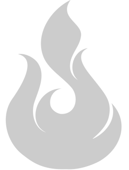 Fire Icon vector