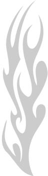 Fire vector
