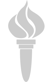 Fire Torch Icons vector