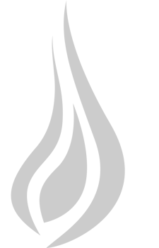 Fire vector