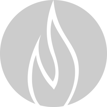 Flame Icon vector