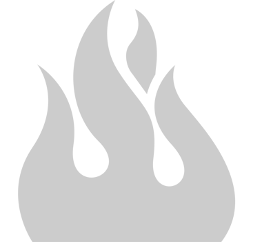 Fire Icon vector