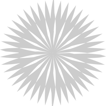 Circle abstract decorative vector
