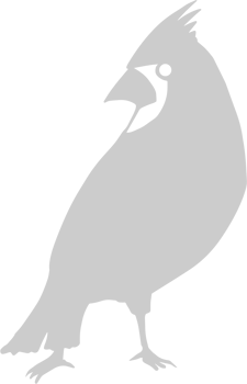Cardnial vector