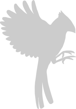 Cardnial vector