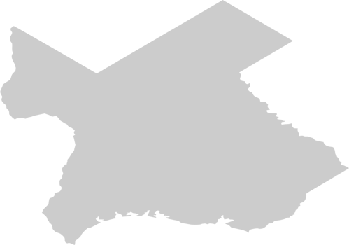 texas map vector