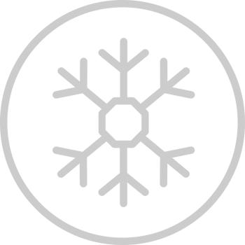 Snowflake Icon vector