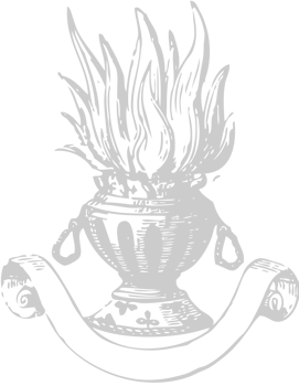 medal vector