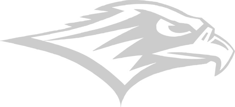 hawk mascot vector
