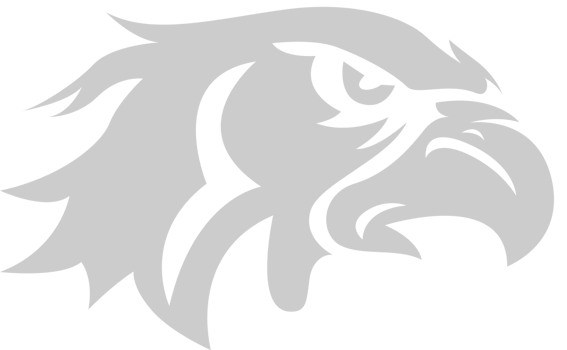 eagle head vector