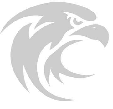 eagle head vector